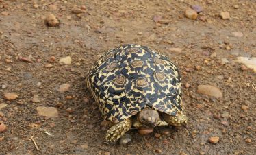 2 Days Sweetwaters Safari