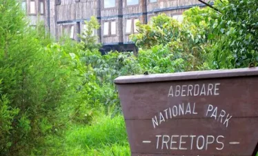 2 days Treetops Aberdares