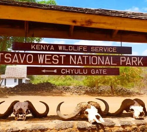3 days Tsavo West