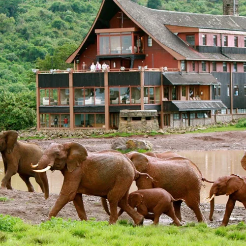 4 days Meru and Aberdares