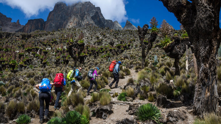 Bliss Tours and Travel Kenya-424806