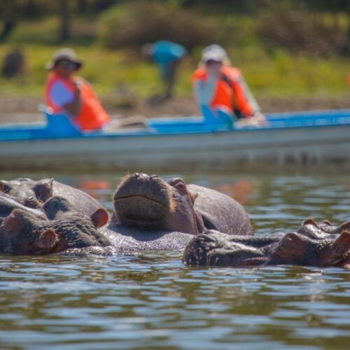 5 Days Samburu, Sweetwaters & Lake Naivasha