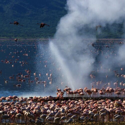2 days Lake Bogoria