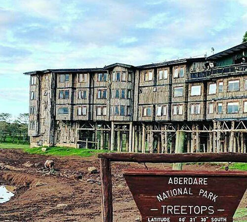 5 Days Maasai Mara, Lake Bogoria & Treetops Aberdares