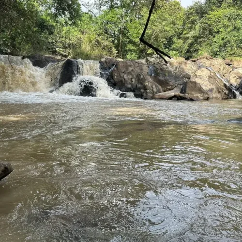3 Days Kakamega Forest & Lake Victoria