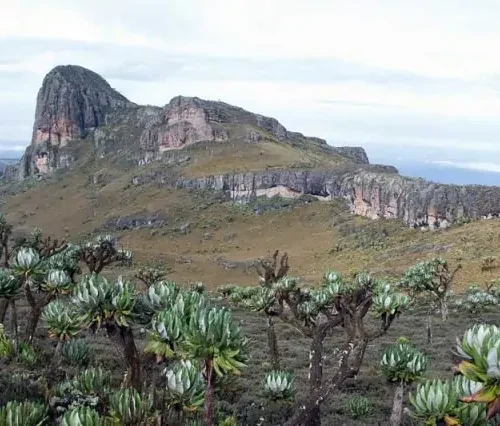 2 Days Mount Elgon