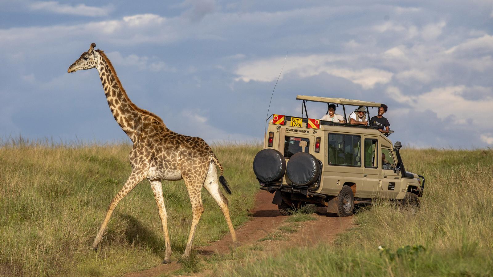 Why a Customized Safari in Kenya Gives You the Best Travel Experience