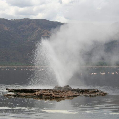 4 Days Lake Bogoria, Kakamega Forest & Lake Victoria