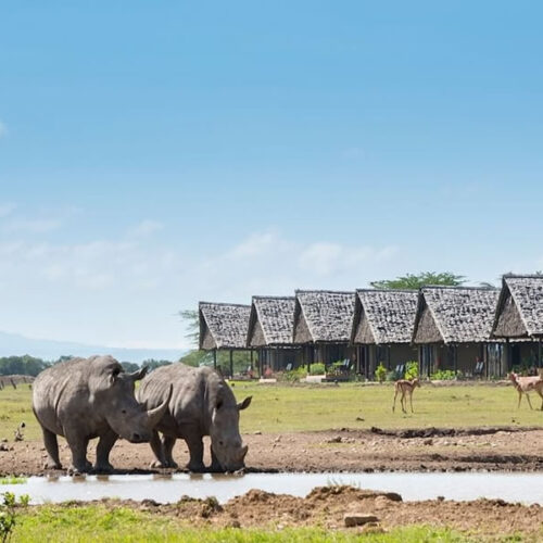 7 Days Meru, Samburu, Sweetwaters & Lake Nakuru Safari
